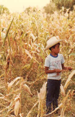 Child in cornfield.jpg (41232 bytes)