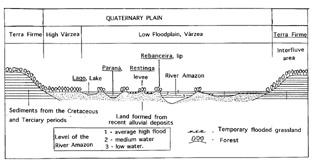 floodplainmap.jpg (19841 bytes)